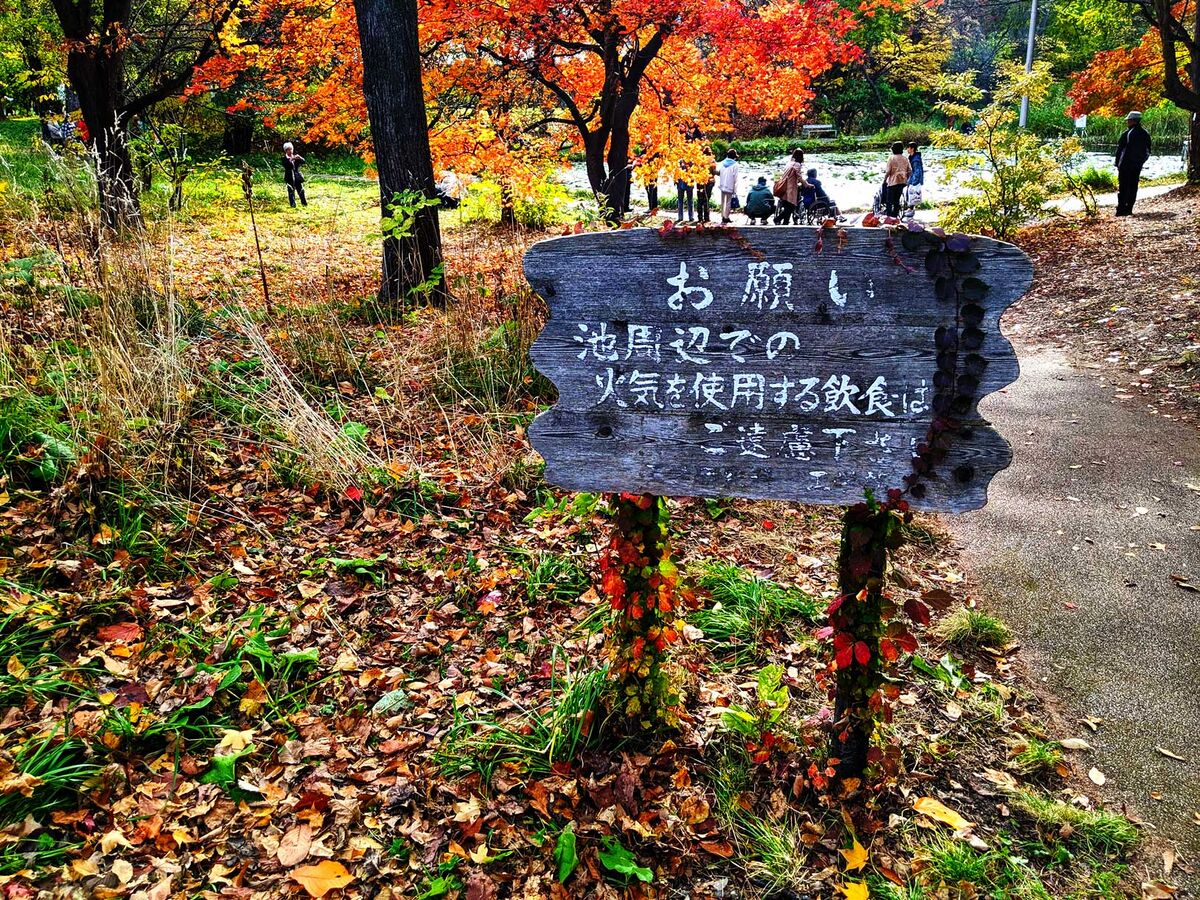 ビデオに撮られた奇妙な海洋動物